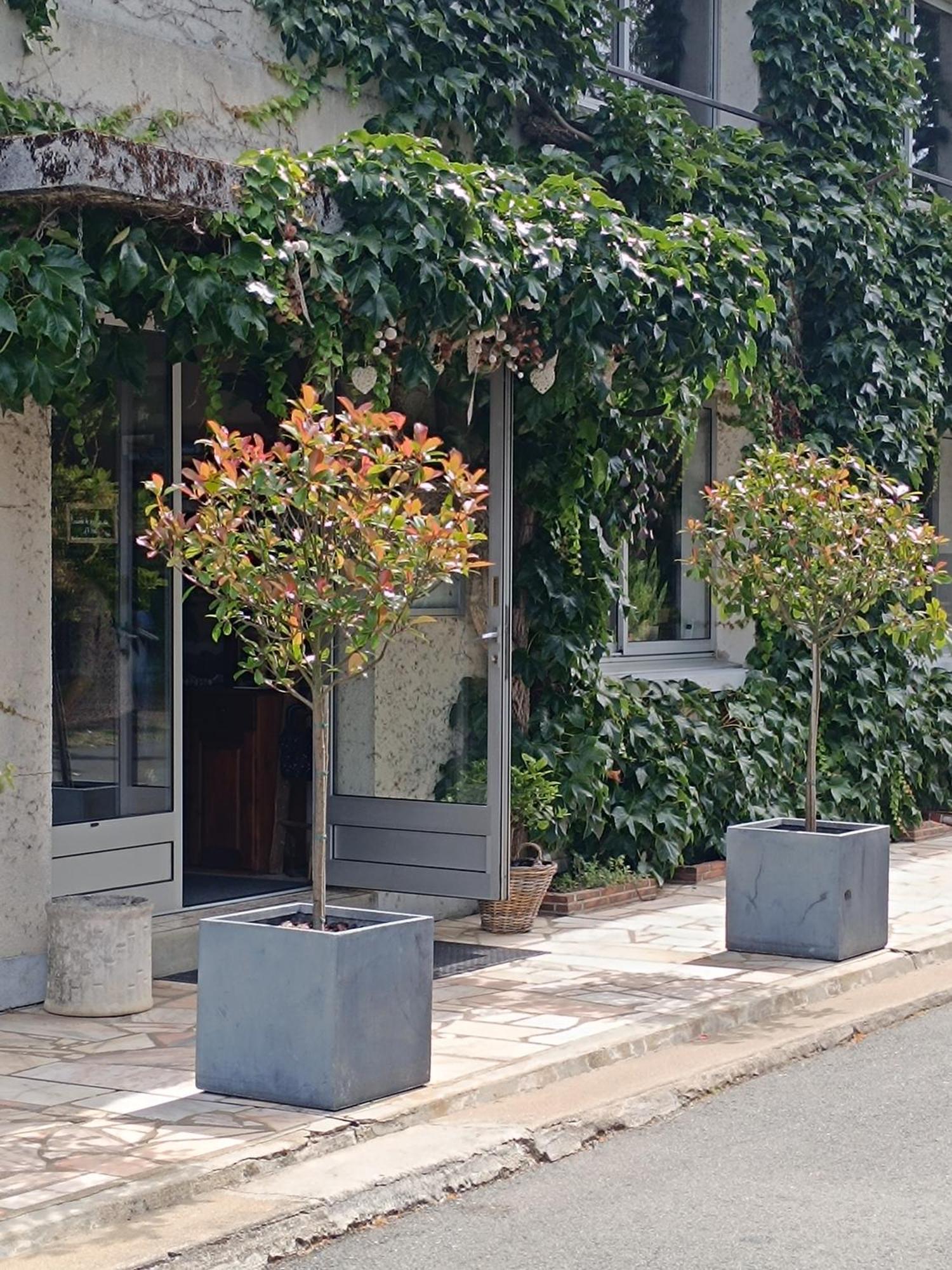 Chambres D'Hotes Du Port Gautier Vouvray-sur-Loir Exterior foto